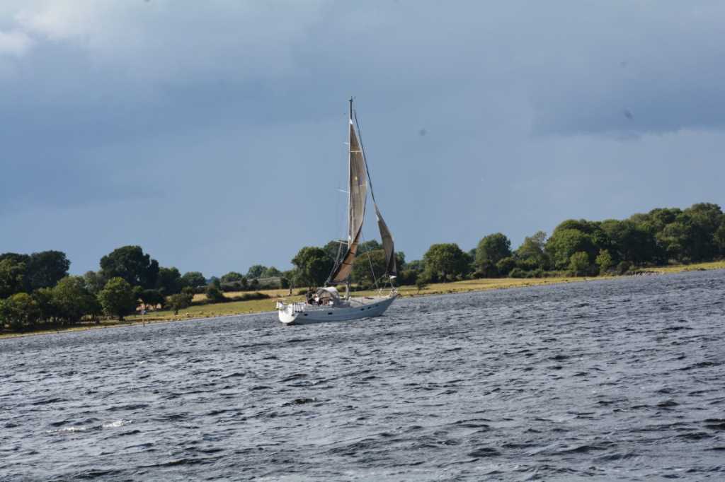 DSC_5946Mittel_.JPG